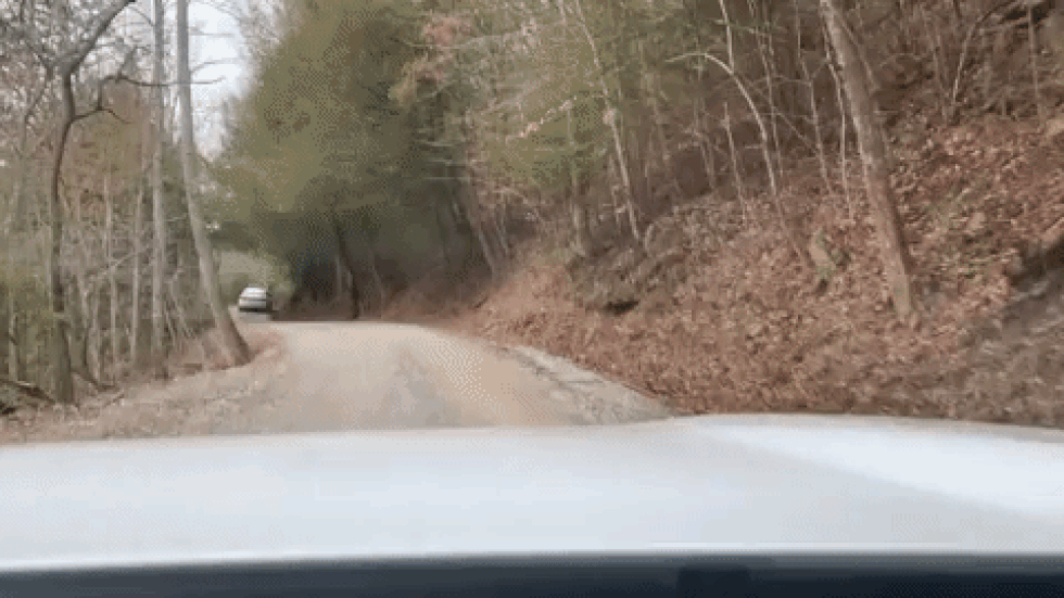 A time lapse of part of the drive down a winding rural road to the delivery site.