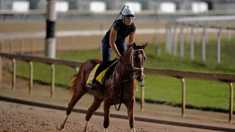 Kentucky Derby entrant Cyberknife works out in the rain at Churchill Downs Tuesday, May 3,...