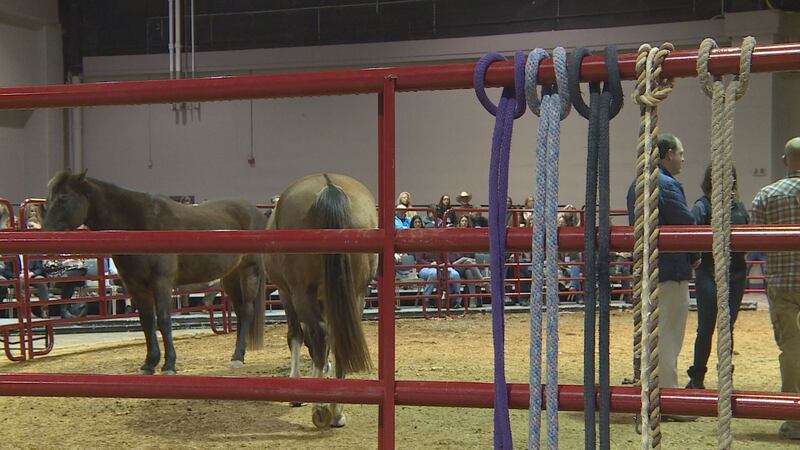 The demonstration and panel discussion was held at the Lexington Convention Center on Saturday.
