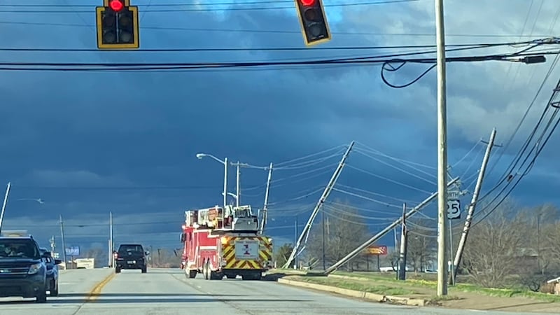 On March 3, 2023, a historical wind storm hit the Bluegrass. High winds topped nearly 80 miles...