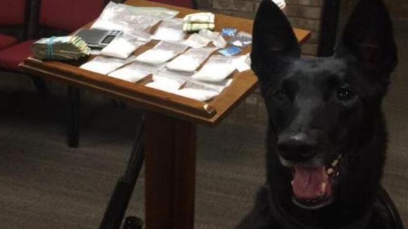 Boyle County Sheriff's Office K-9 NiKi posed with a drug bust in May 2016. (Photo provided)