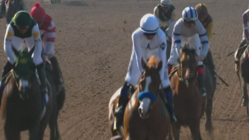 Horses racing