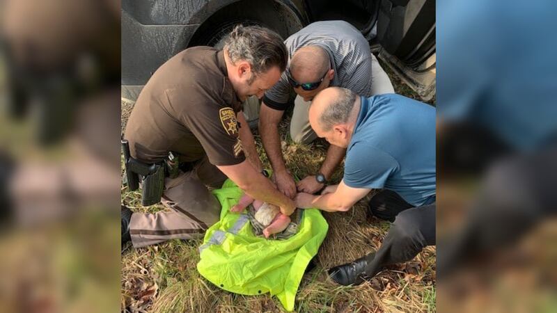 Deputies at a Michigan sheriff’s office announced a newborn boy was found on the banks of a...