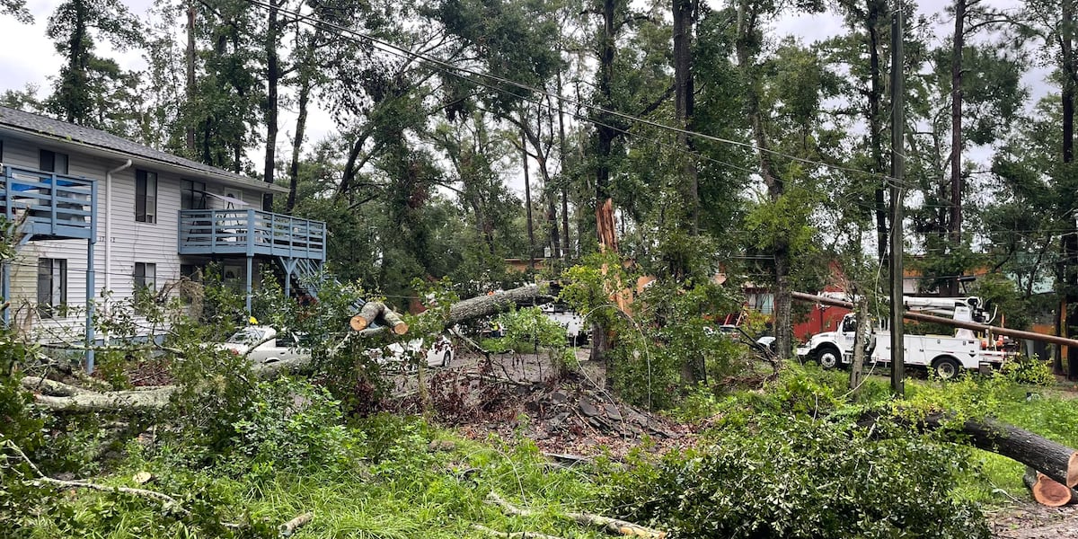 Kentucky organizations preparing to aid southeastern US in Debby recovery Kentucky organizations preparing to aid southeastern US in Debby recovery