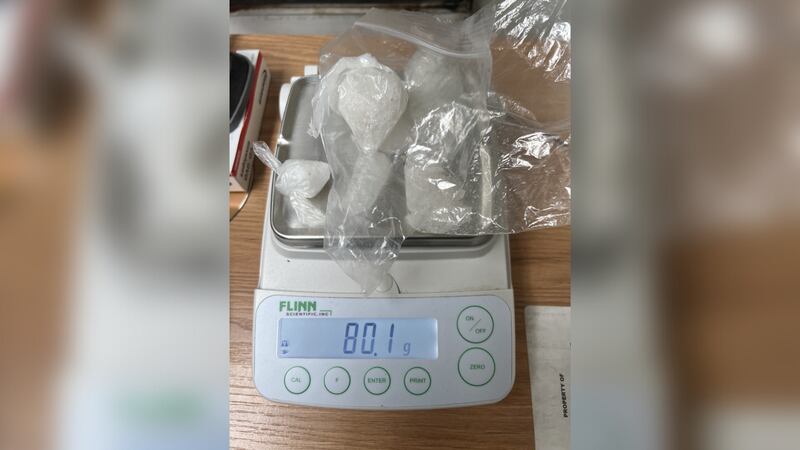 Wayne County man arrested and charged with drug trafficking
